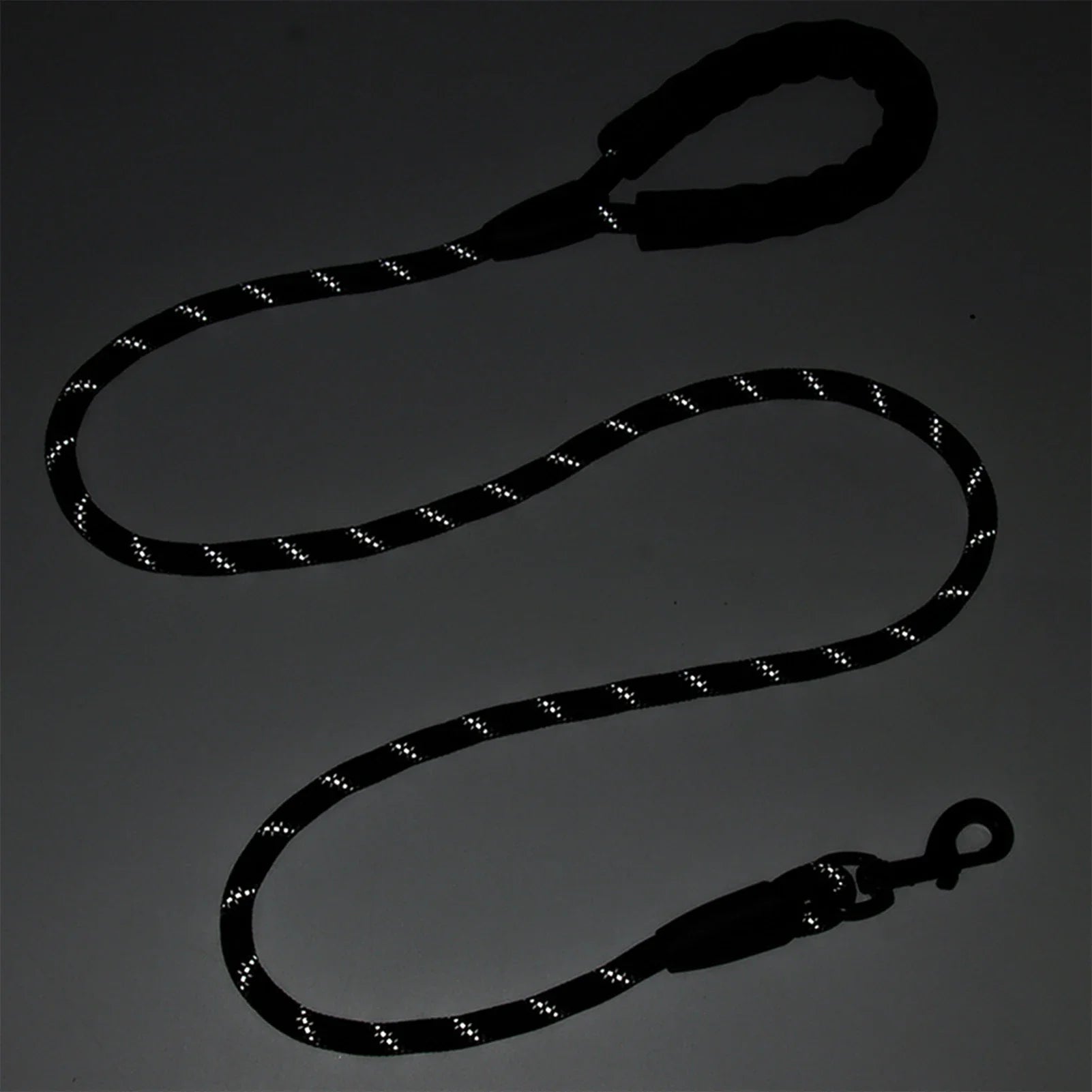 Nylon Reflective Dogs Leash