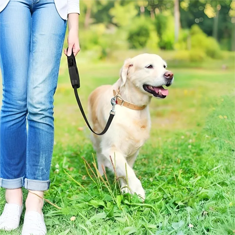 5M Automatic Retractable Pet Leash