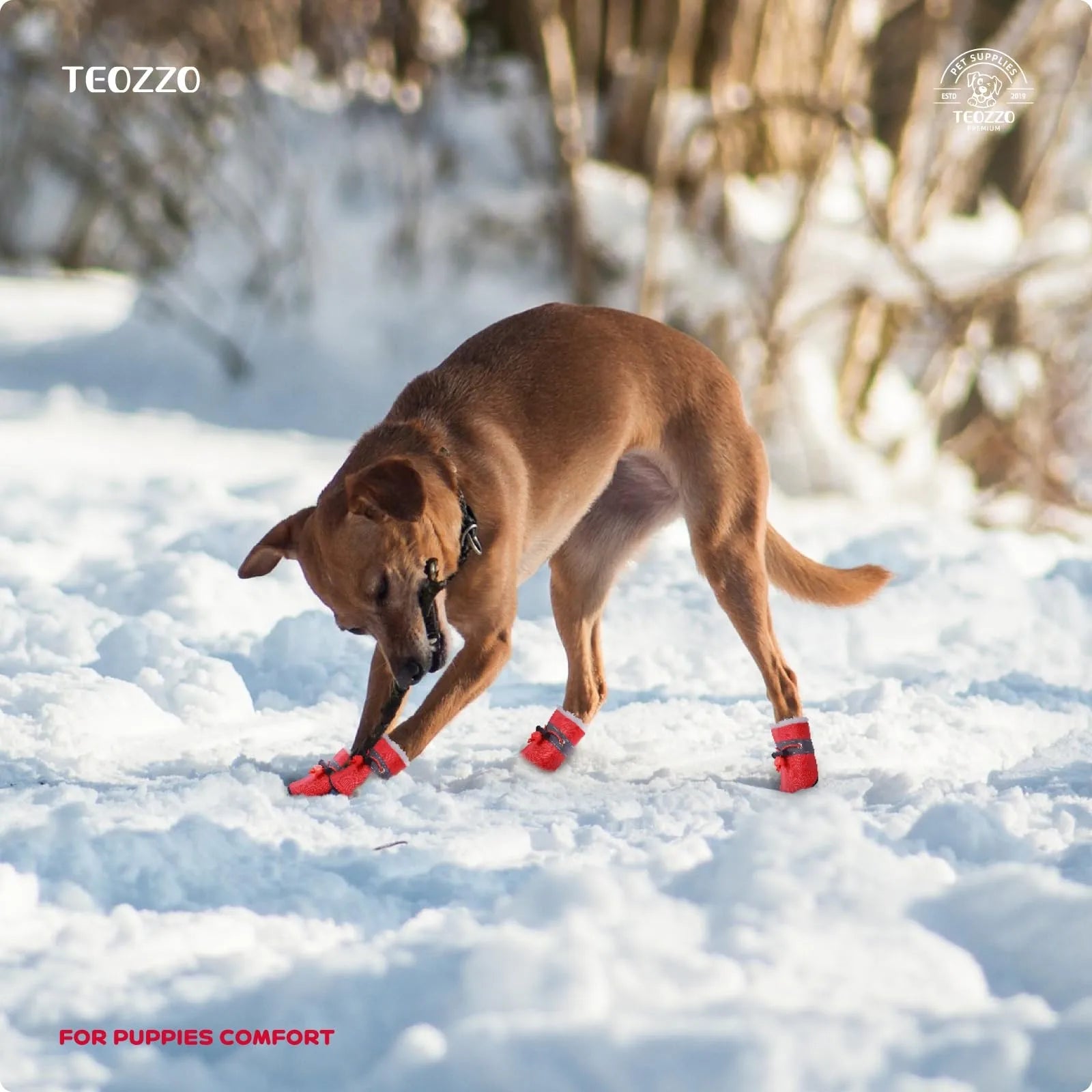 Dog Shoes That don't fall off