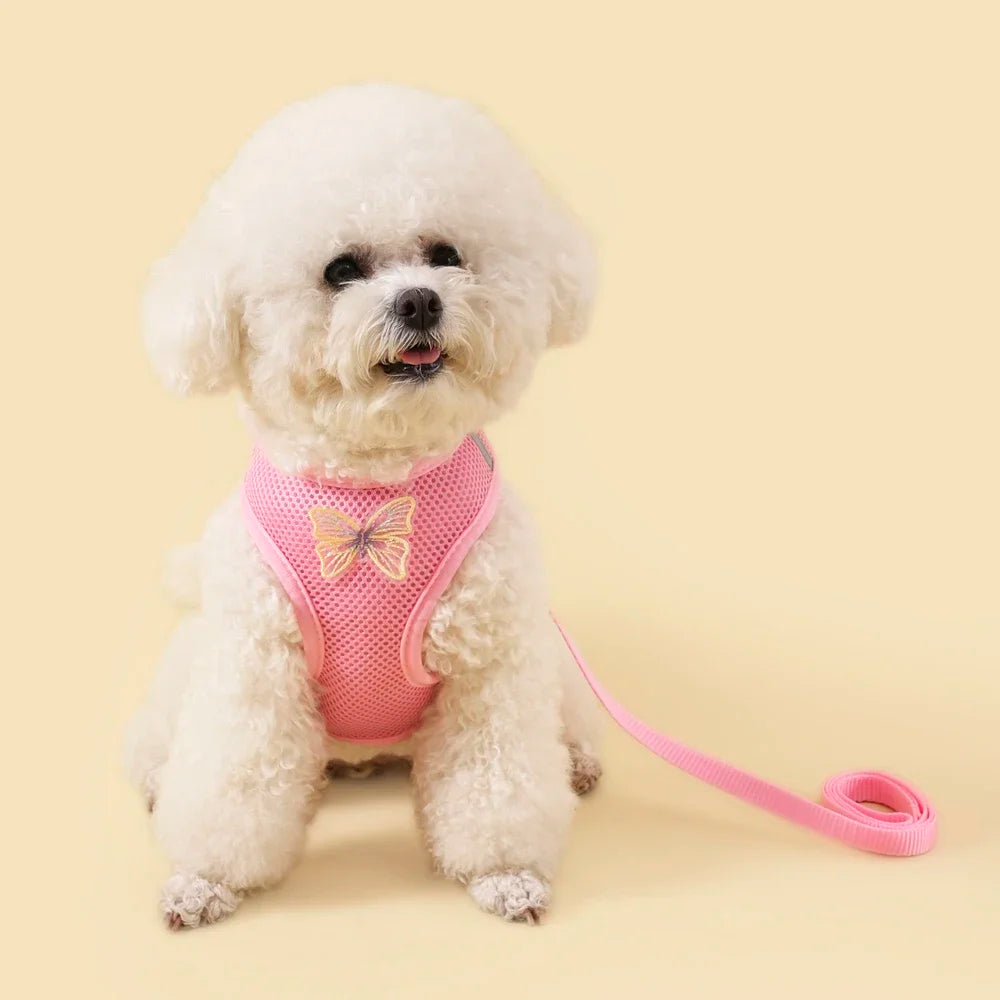 Butterfly Cute Breathable Dog Harness