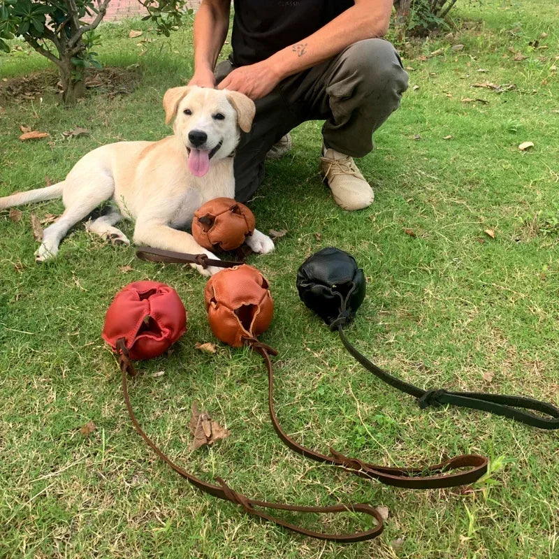 Leather Dog Ball Tug Toy, with Handle