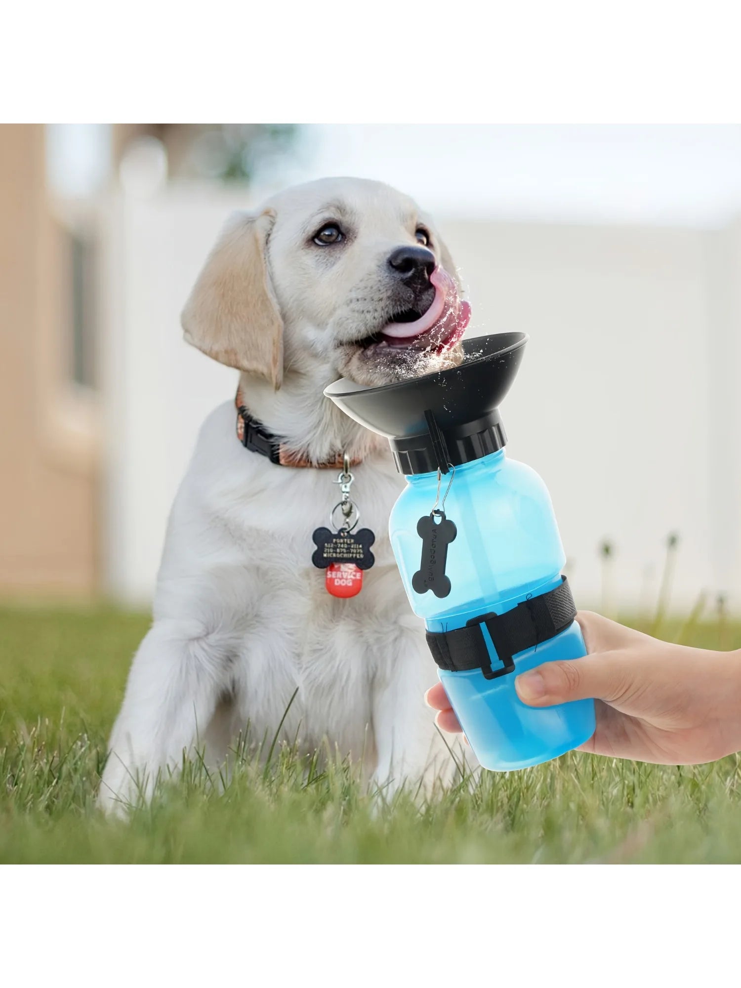 Dog Water Bottle, Portable Travel
