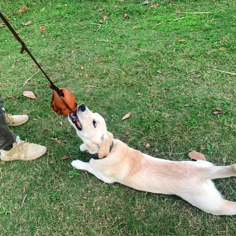 Leather Dog Ball Tug Toy, with Handle