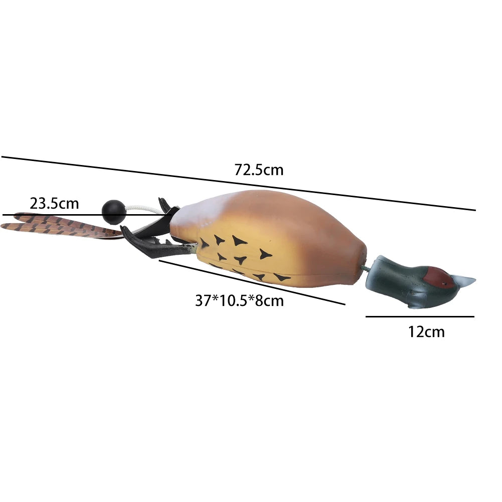 Pheasant Dog Hunting Trainer