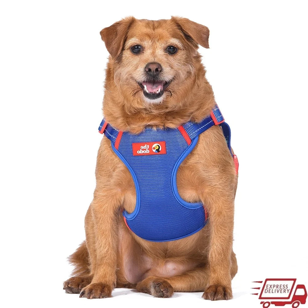Adjustable Dog Harness Breathable Mesh Step-in Style