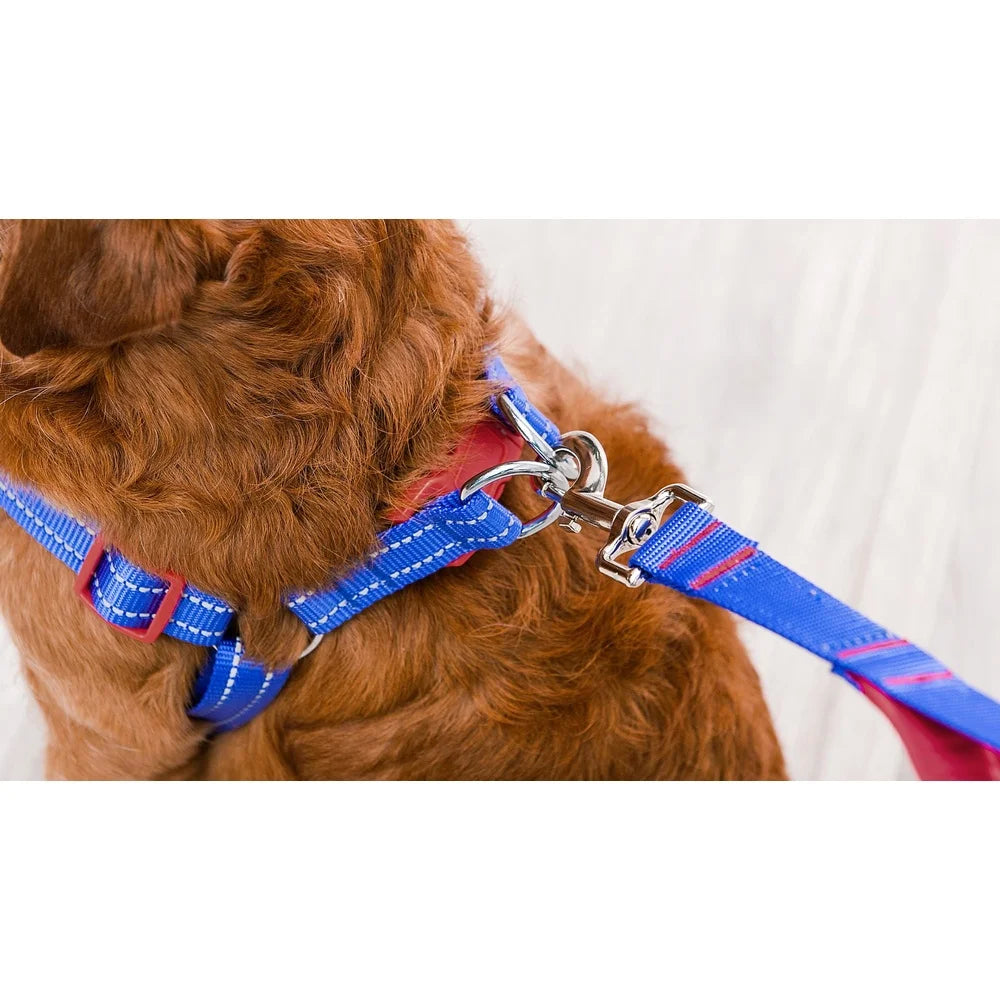 Adjustable Dog Harness Breathable Mesh Step-in Style
