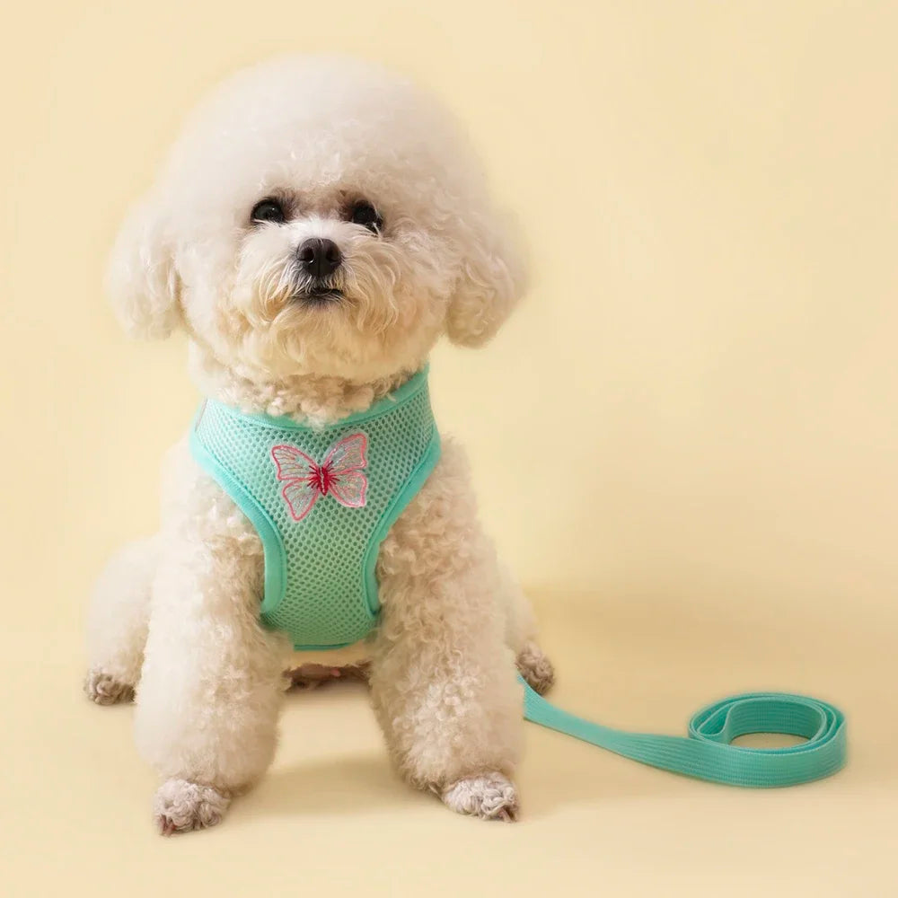Butterfly Cute Breathable Dog Harness
