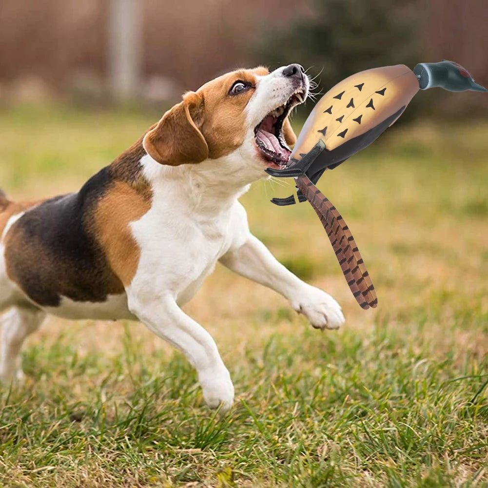 Pheasant Dog Hunting Trainer