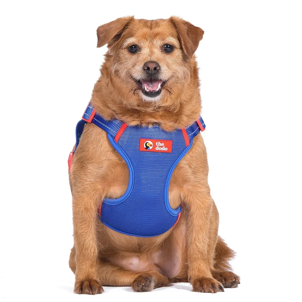 Adjustable Dog Harness Breathable Mesh Step-in Style