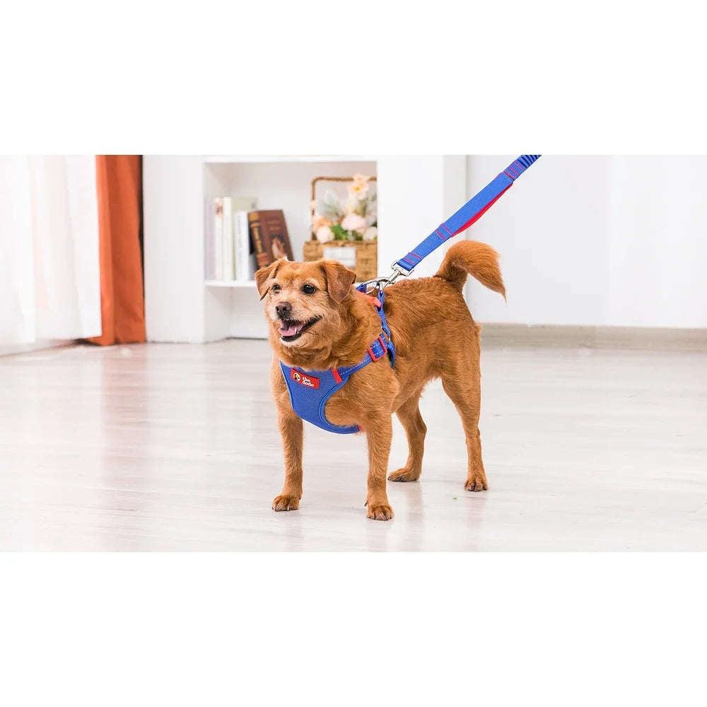 Adjustable Dog Harness Breathable Mesh Step-in Style