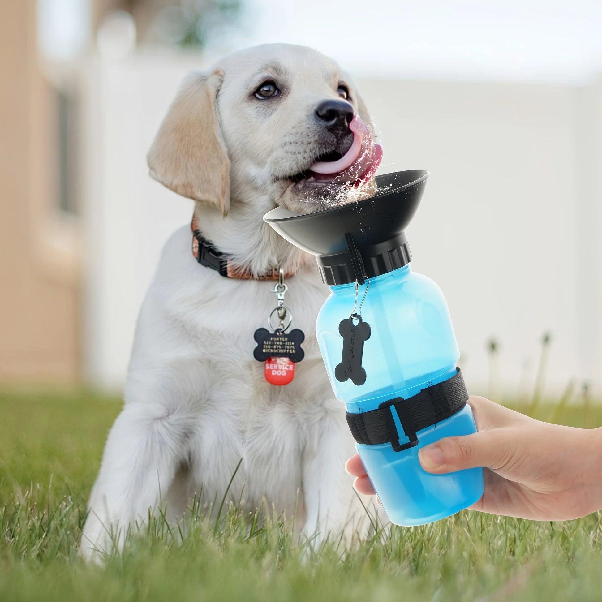 Dog Water Bottle, Portable Travel