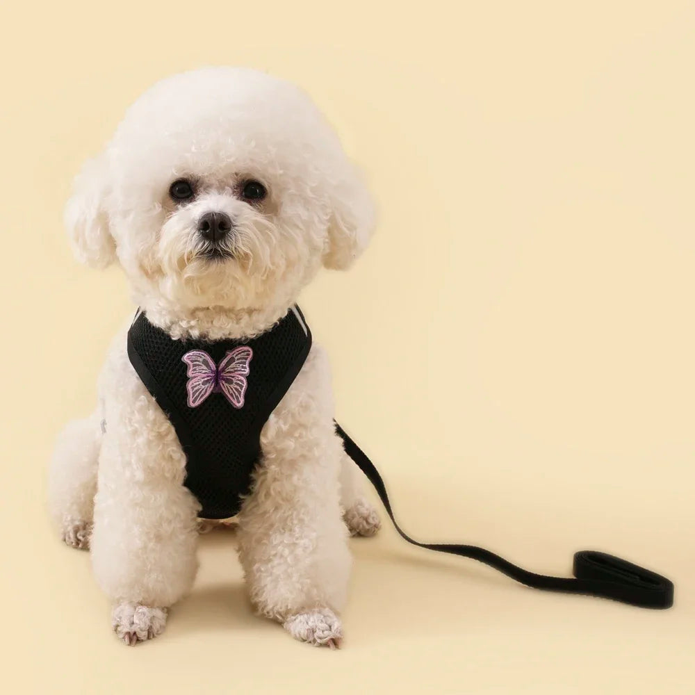 Butterfly Cute Breathable Dog Harness