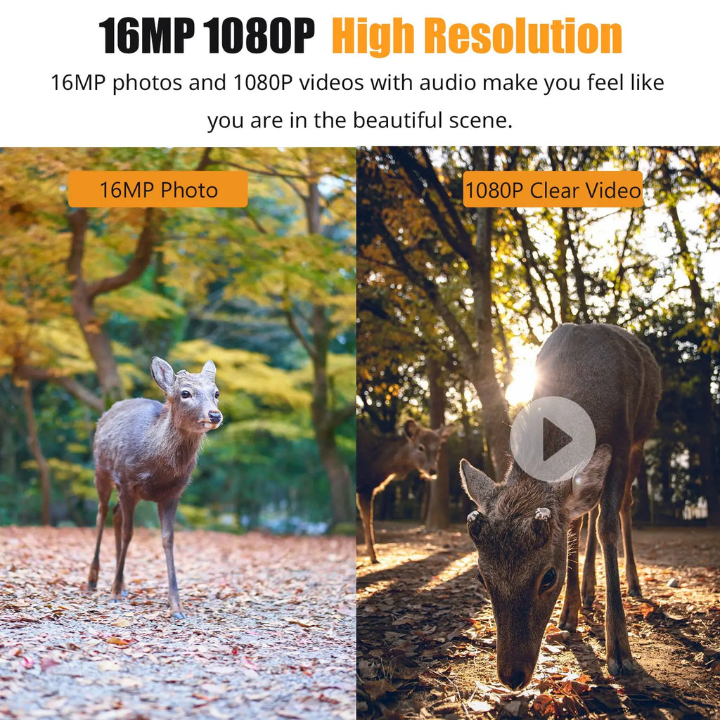 1080P, 2.0in LCD, 16MP Hunting Trail Camera