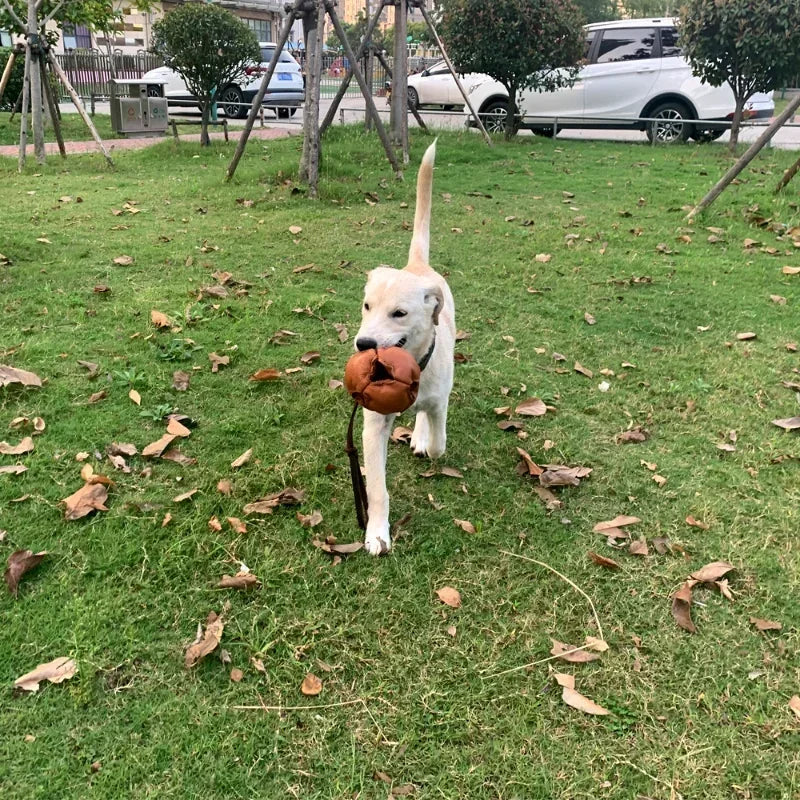 Leather Dog Ball Tug Toy, with Handle
