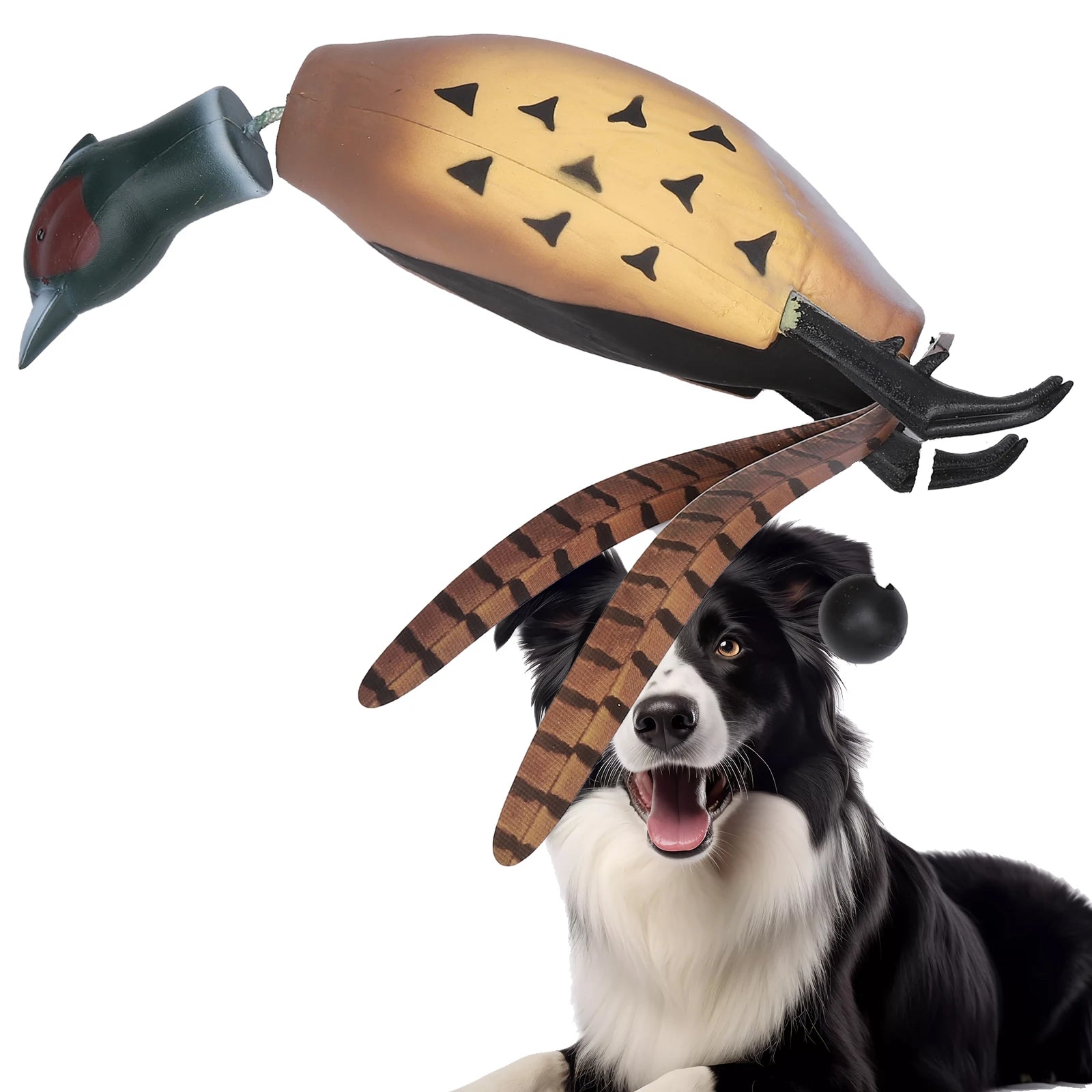 Pheasant Dog Hunting Trainer