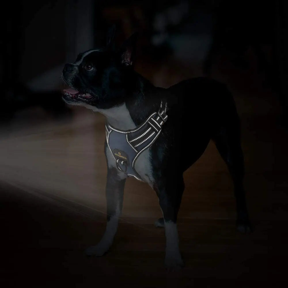 Dog Harness No Pull Nylon Adjustable Reflective Dog Vest