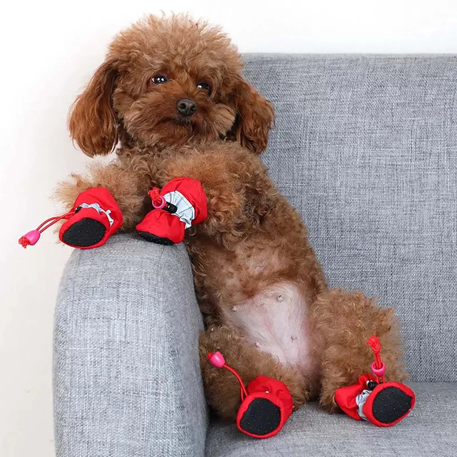 Dog Shoes That don't fall off