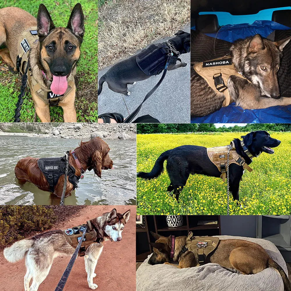 Military Style Dog Harness Leash And Bag Set