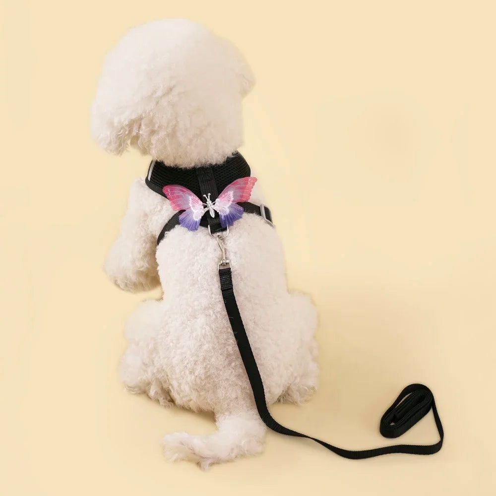 Butterfly Cute Breathable Dog Harness