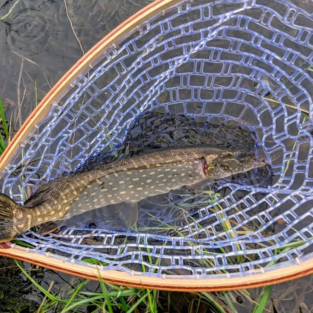 Fishing Net with Clear Rubber Mesh Netting Wooden Handle
